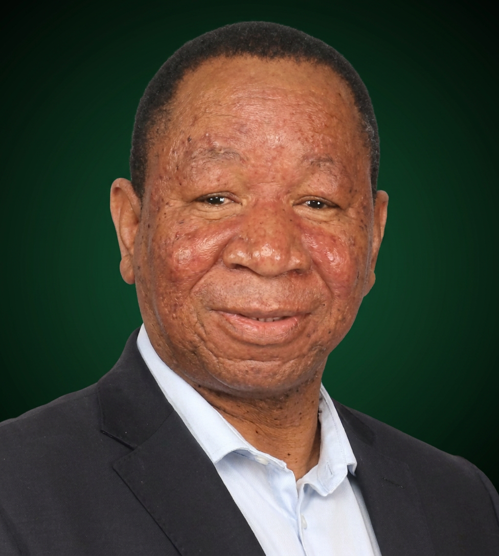 Patrick Ndlovu